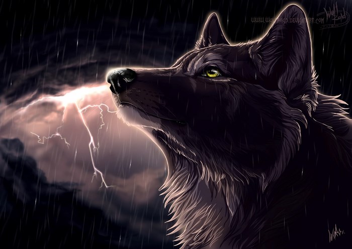 Majestic Wolf Under Stormy Night Sky