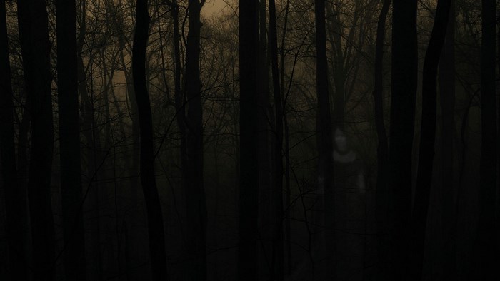 Ghostly figure in a dark, misty forest