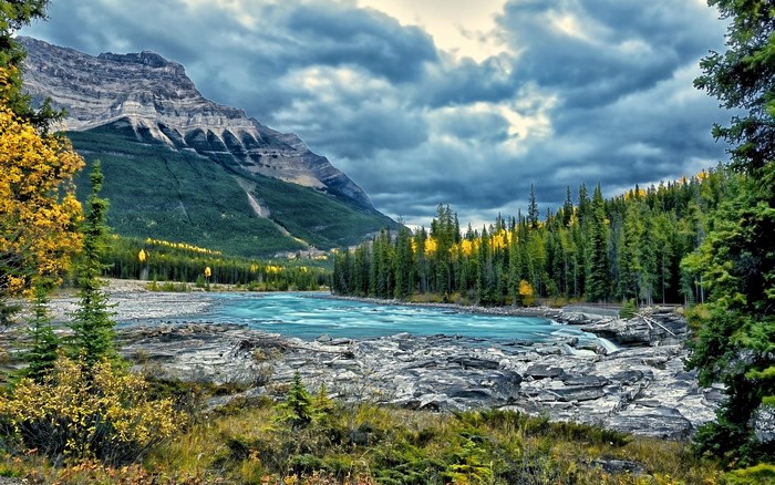 Mountain river and forest in autumn
