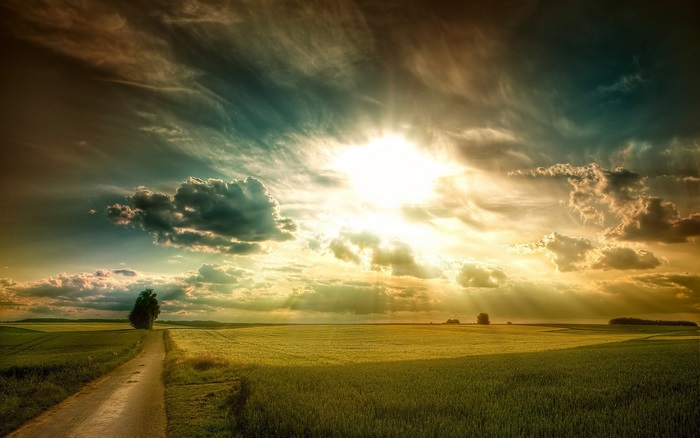 Sunlight shining through clouds over a field