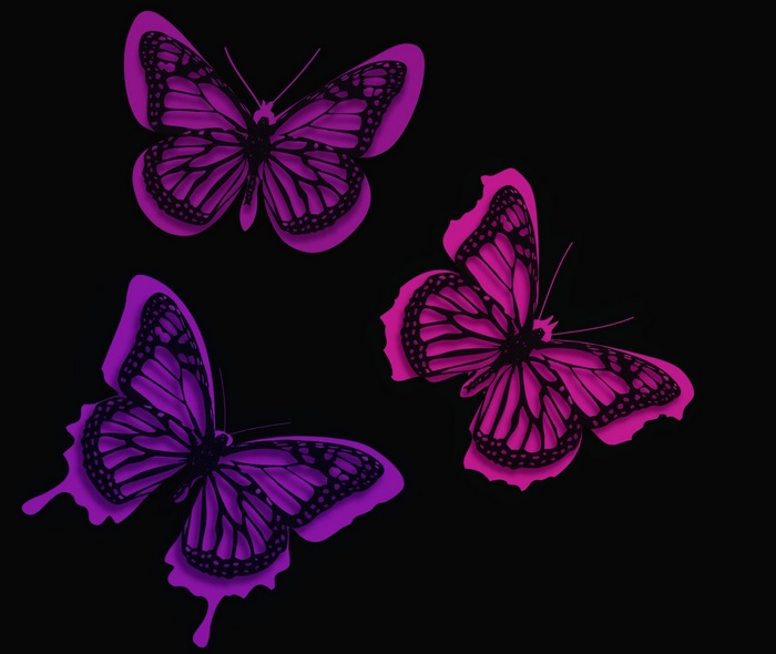 Three purple butterflies on a black background