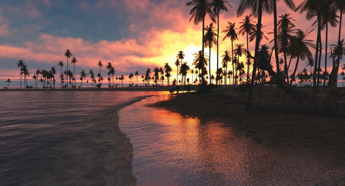 Palm trees on a tropical island at sunset