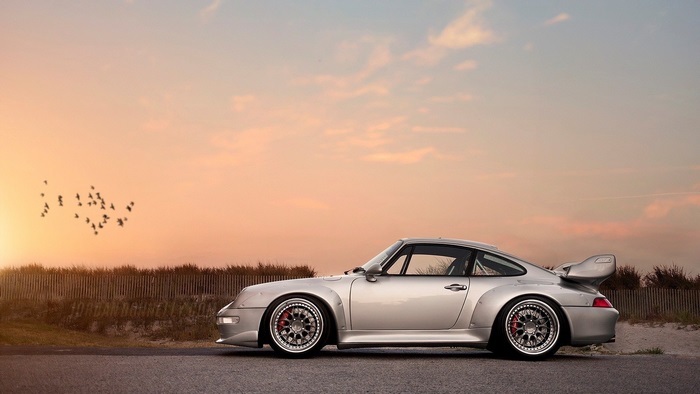 Silver Porsche 911 at Sunset with Birds