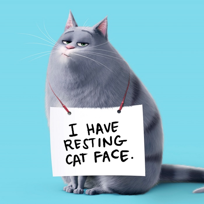 Chloe the Cat from The Secret Life of Pets with a sign