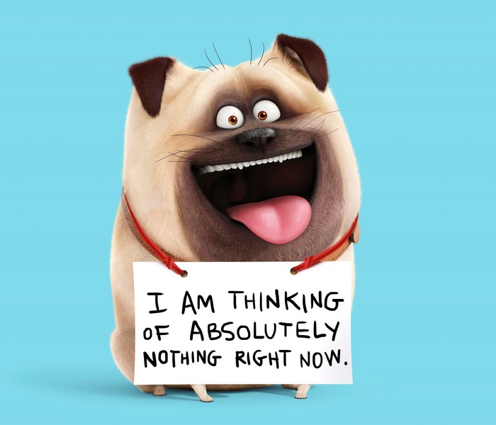 Buddy from The Secret Life of Pets holding a sign