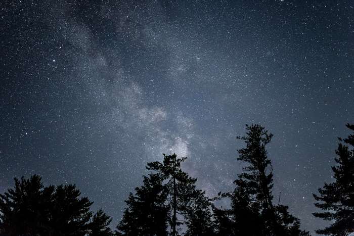 Milky Way galaxy over silhouetted trees at night