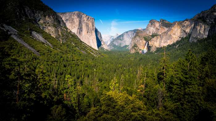 Cliffs Conifer Daylight Evergreen Fall Forest Green Hike