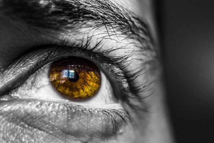 Close-up of a human eye with amber iris