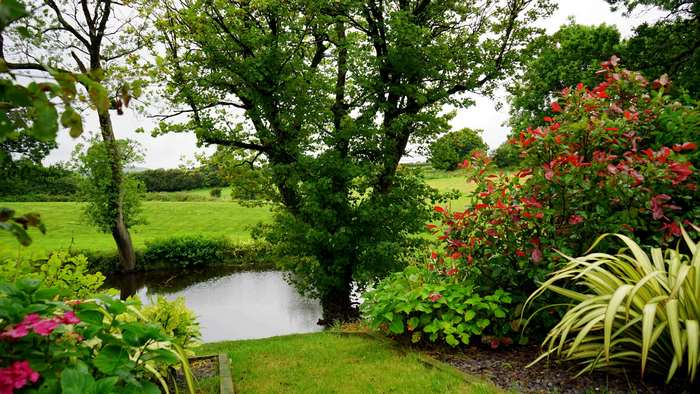 Garden pond with trees and red-leafed bushes