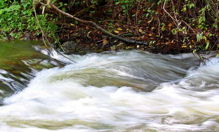 Water flowing over rocks in a forest stream
