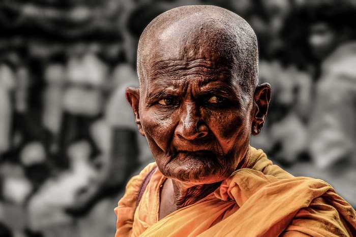 Old Buddhist monk in orange robe