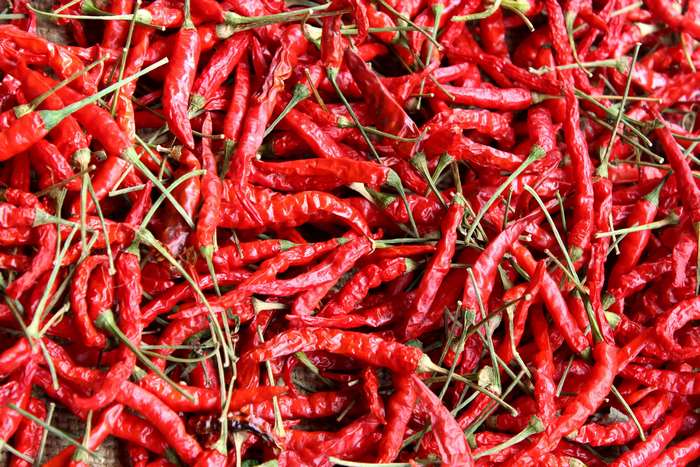 Dried red chilies for cooking