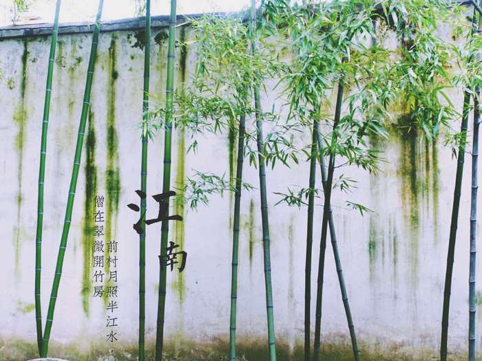 Bamboo in a Chinese Garden with Calligraphy