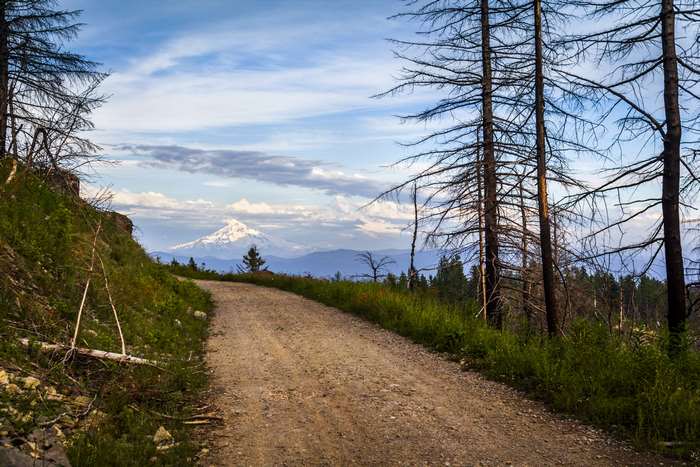 Dirt road leading to Mount Hood in Oregon