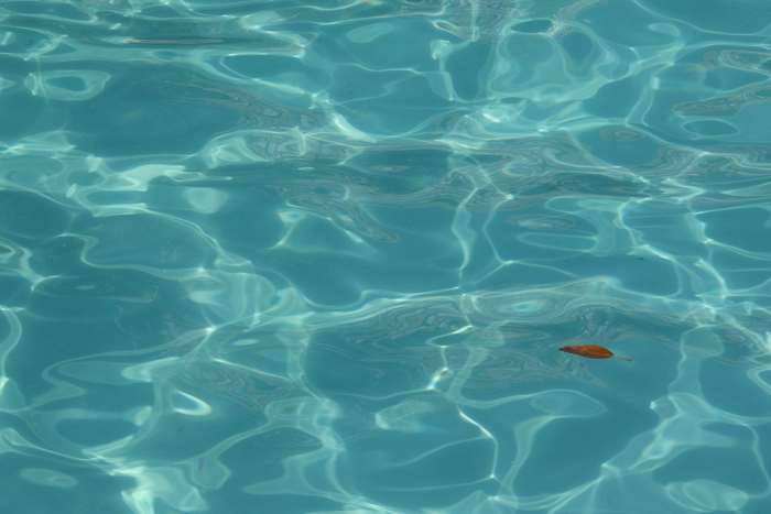 Blue swimming pool water with a single leaf