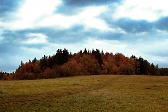 Autumn forest landscape with cloudy sky 4K