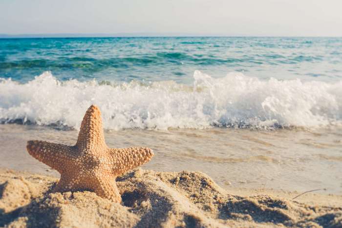 Starfish on a Sandy Beach with Ocean Waves