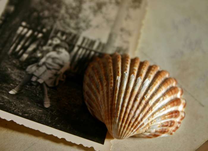 Seashell on an old photograph of a girl