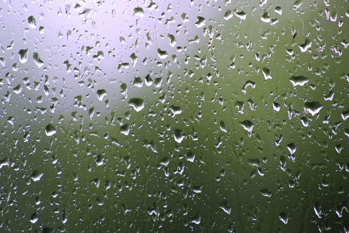 Raindrops on a window pane