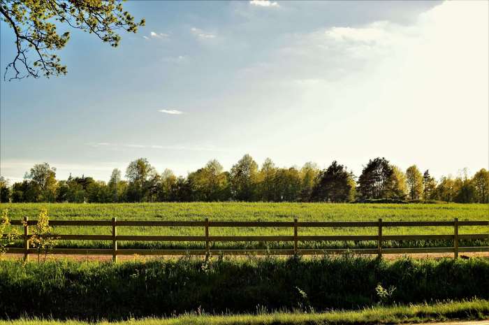 Wooden fence in a green field with trees and sky