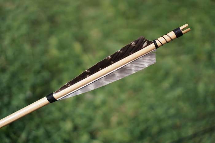 Close up of an arrow with feathers