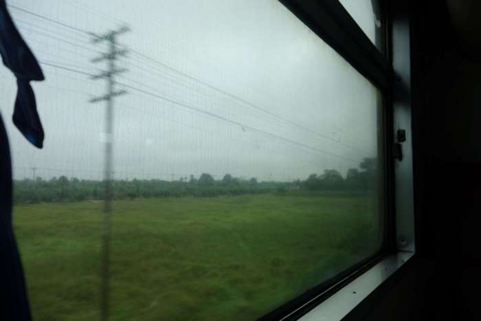 Train traveling past a field with power lines