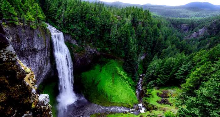 Waterfall cascading into a lush forest valley