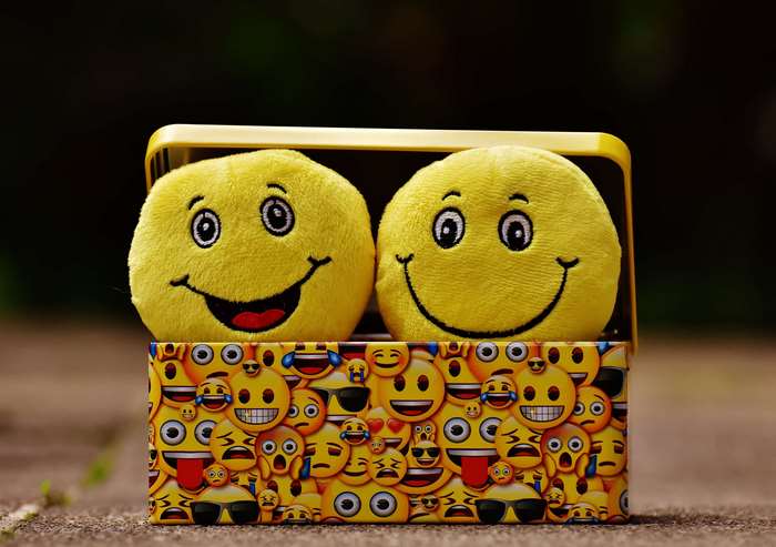 Two smiley face plush toys in a box with emoji print