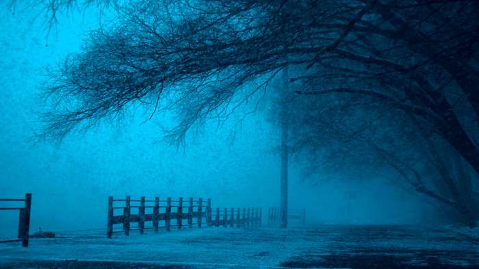Winter scene with trees and a fence in the snow