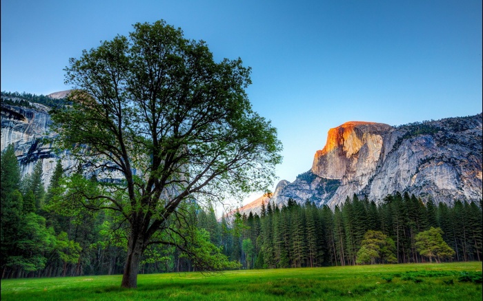 Half Dome Yosemite National Park at sunrise