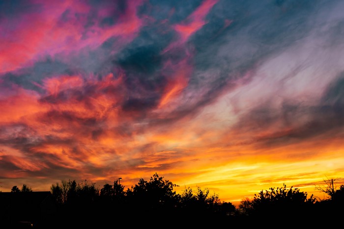 Colorful sunset sky over silhouetted trees