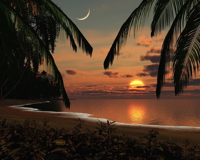 Tropical beach sunset with palm trees and crescent moon