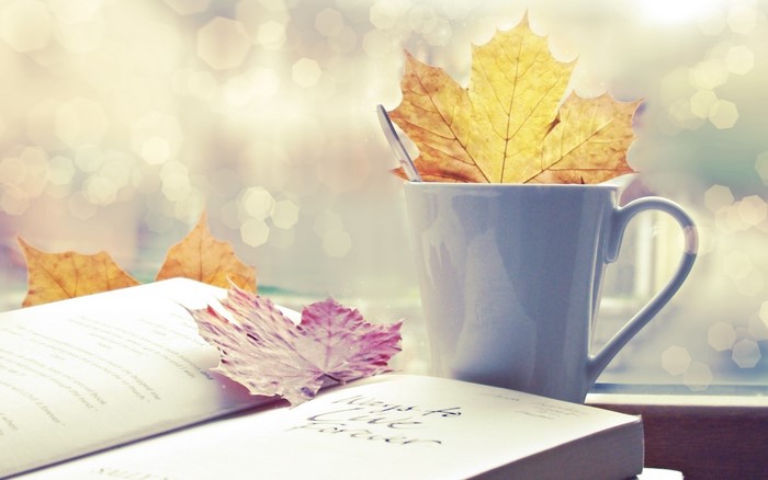 Autumn leaves in a mug next to an open book