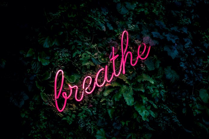 Pink neon sign 'breathe' on a dark leafy background