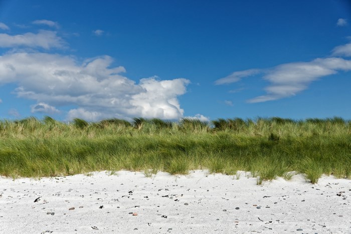 White sand beach with green grass dunes and blue sky