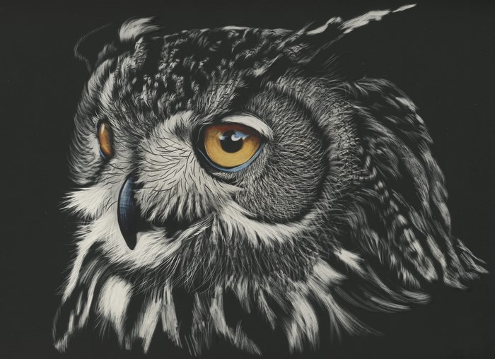Close-up painting of an owl's head
