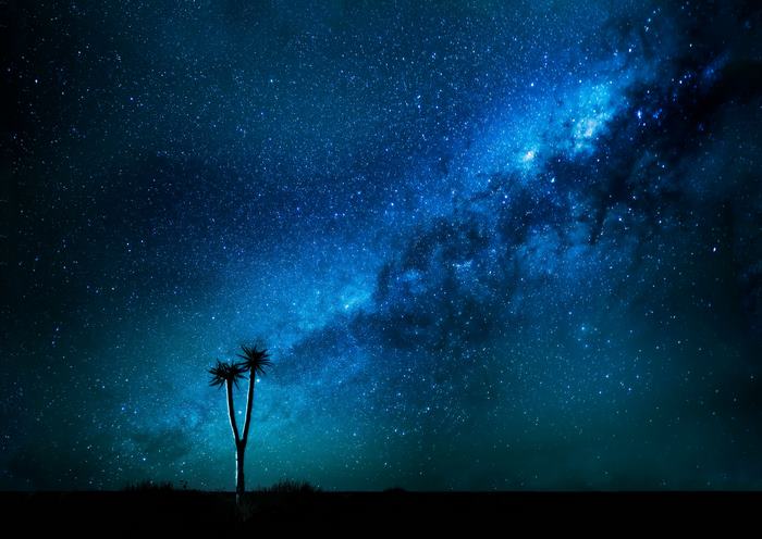 Milky Way over desert landscape with Joshua Tree