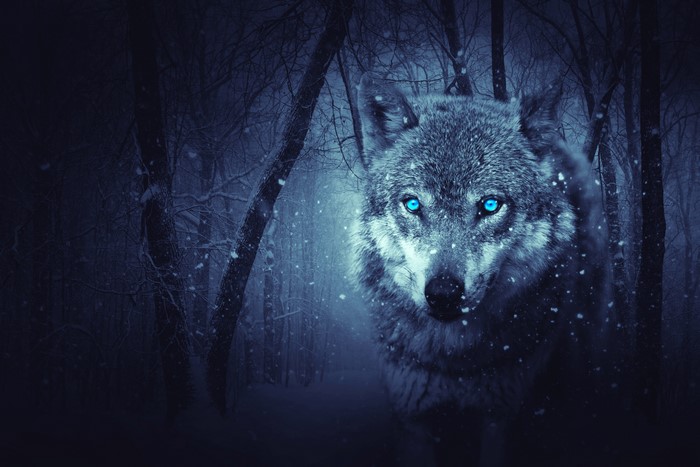 Wolf with glowing blue eyes in a snowy forest