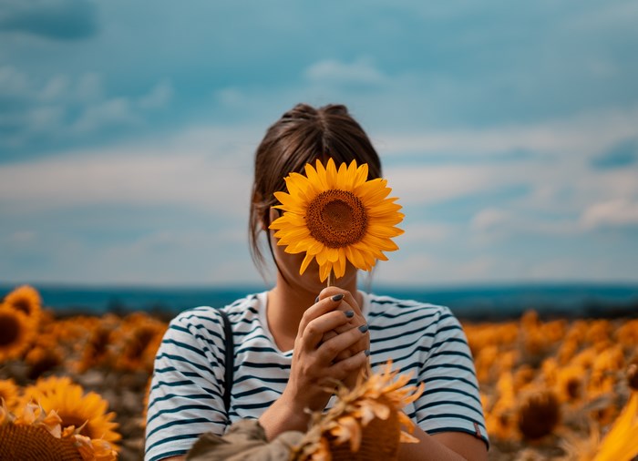 Woman holding a sunflower in a sunflower field