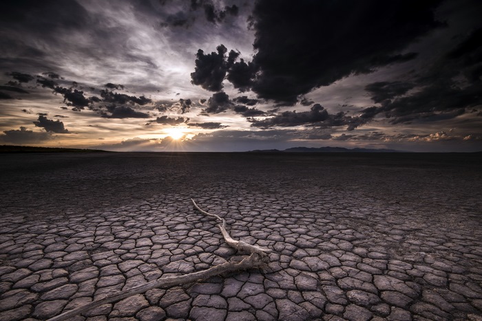 Dry cracked desert landscape at sunset with driftwood