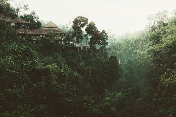 Houses nestled on a misty, forested hillside