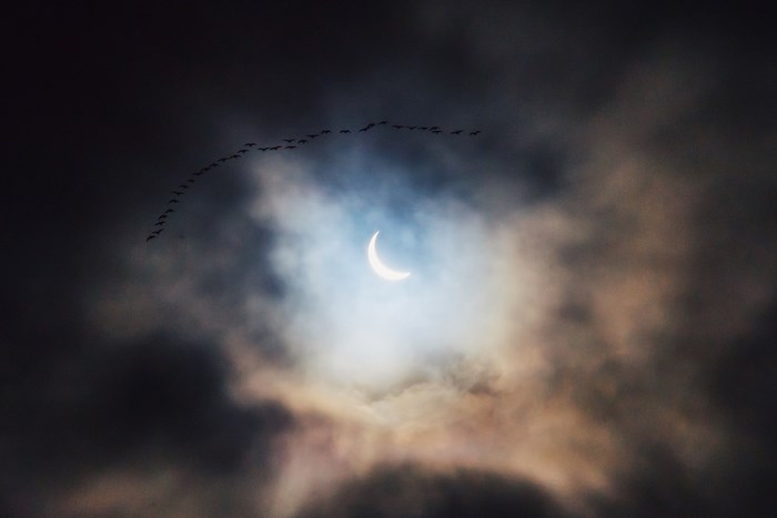Solar Eclipse Through Cloudy Sky with Flying Birds