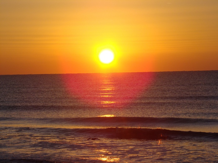 Sunrise over the ocean with a bird