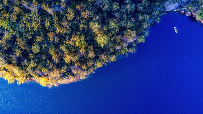 Aerial view of a forested island and blue water with a boat