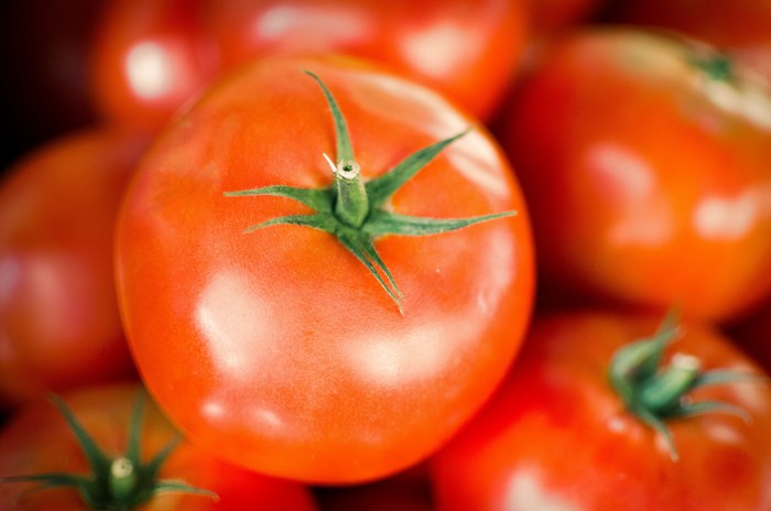 Close-up of ripe red tomatoes with green stems