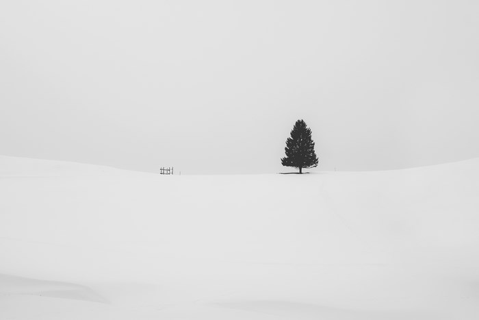 Minimalist snow landscape with a lone tree and fence