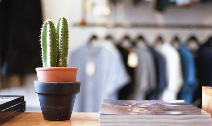 Cactus in a pot on a table with shirts in the background