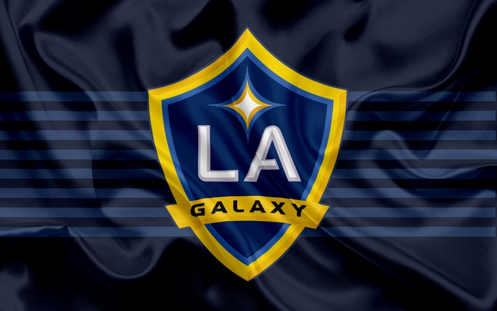 LA Galaxy MLS Soccer Emblem