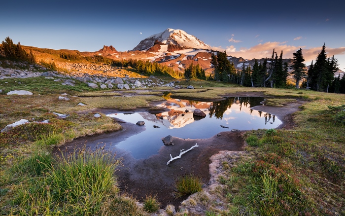 Mount Rainier reflected in a mountain pond at sunset