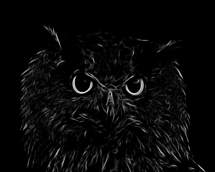 Fractal black and white owl portrait